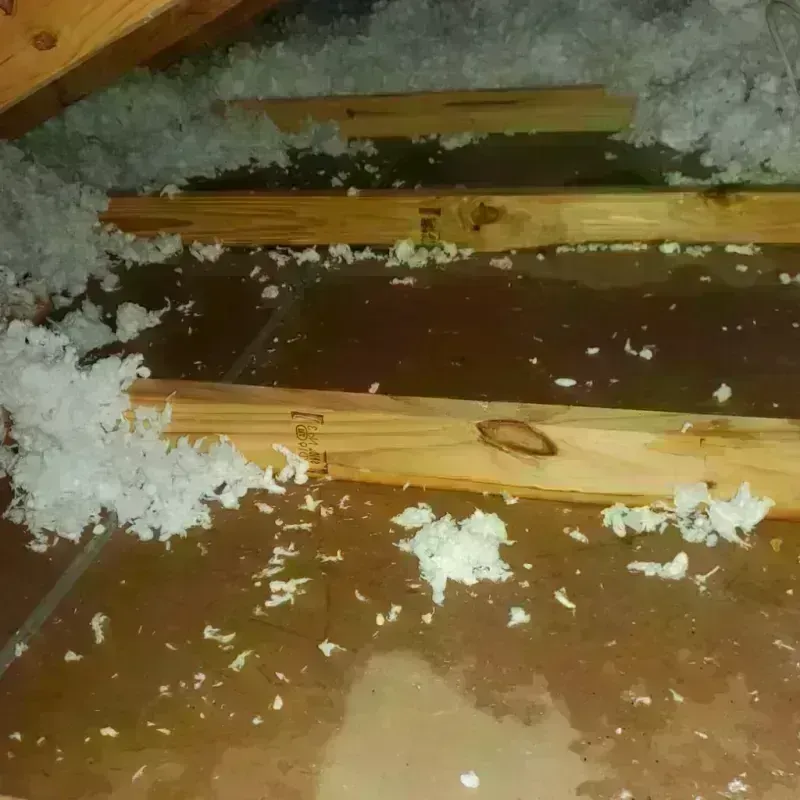 Attic Water Damage in Teton County, WY