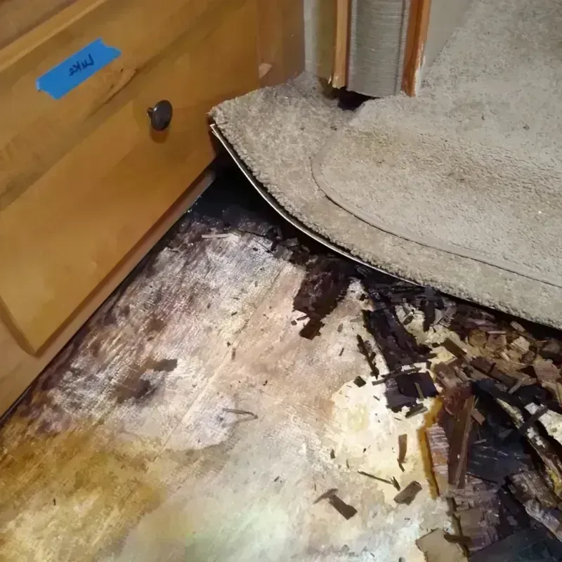 Wood Floor Water Damage in Teton County, WY